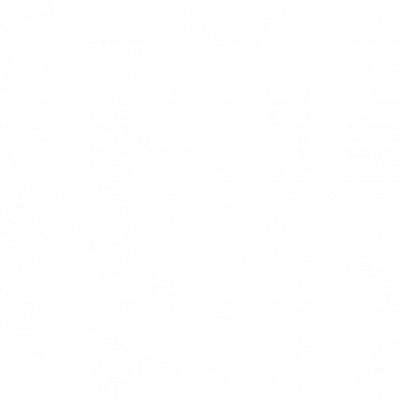 Logo__FSFF_white