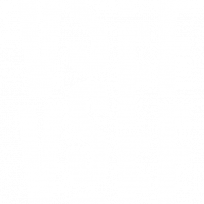 Logo__VSFF_white Logo__VSFF_white